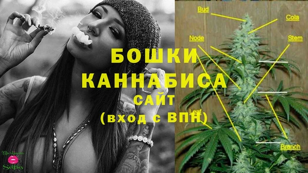 гашик Зеленокумск