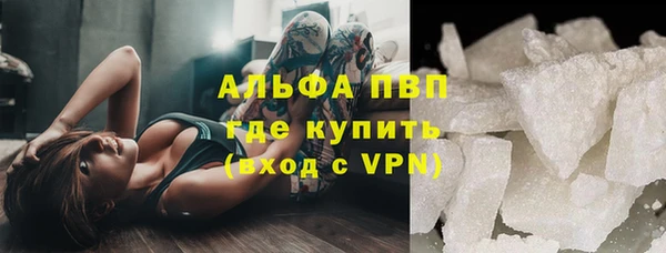 гашик Зеленокумск