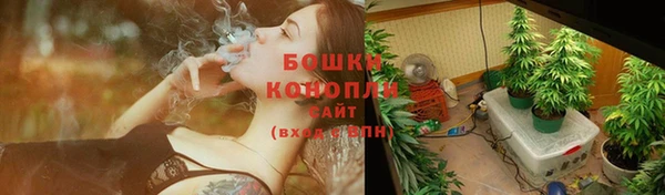 гашик Зеленокумск
