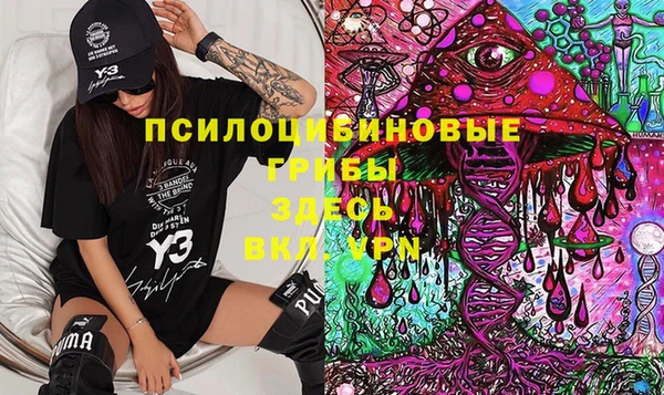 гашик Зеленокумск