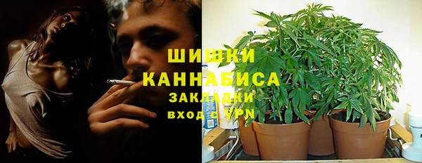 винт Инта